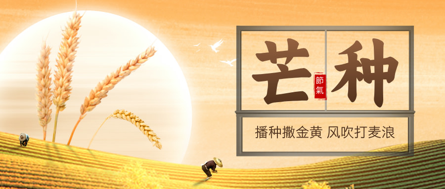 天堂VA蜜桃一区二区三区|国产日韩欧美
